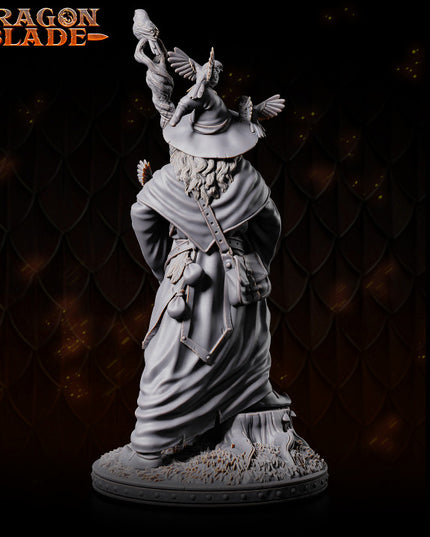 Wizard - Linus the marvelous - July 2023 - DRAGONBLADE- MASTERS OF DUNGEONS QUEST