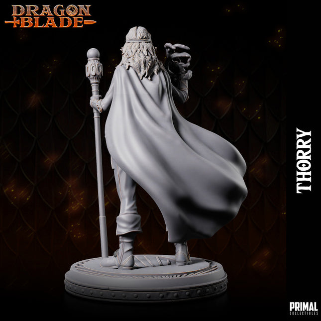 Female wizard Thorry - September 2023 - DRAGONBLADE- MASTERS OF DUNGEONS QUEST
