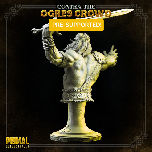 Barbarian - Boris - Bust - CONTRA THE OGRES CROWD - MASTERS OF DUNGEONS QUEST
