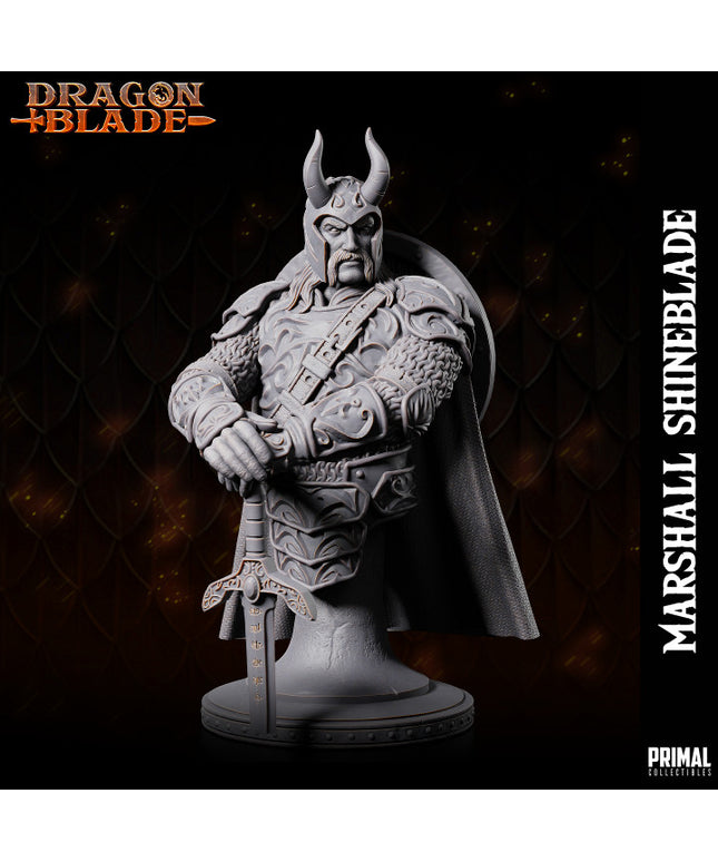 Fighter- Knight - Marshall Shineblade - bust - September 2023 - DRAGONBLADE- MASTERS OF DUNGEONS QUEST