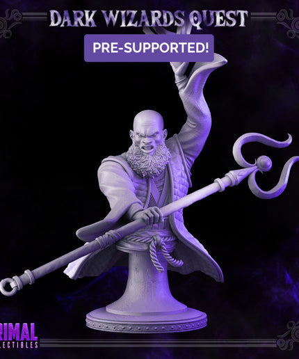 Storm Master - Rayzen Shaka - Bust - DARK WIZARDS - MASTERS OF DUNGEONS QUEST