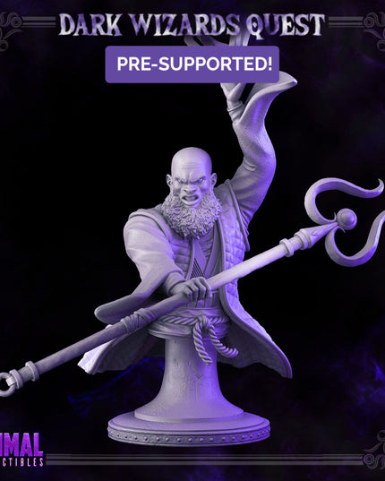 Storm Master - Rayzen Shaka - Bust - DARK WIZARDS - MASTERS OF DUNGEONS QUEST