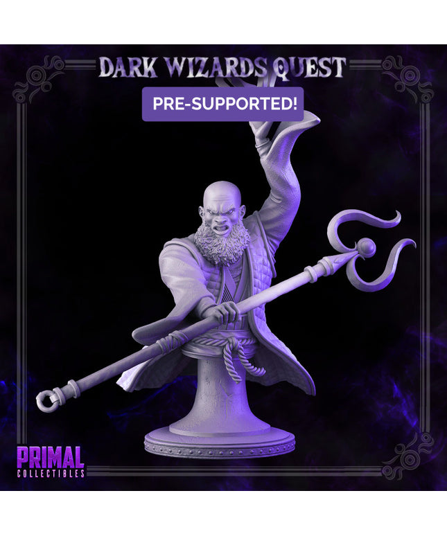 Storm Master - Rayzen Shaka - Bust - DARK WIZARDS - MASTERS OF DUNGEONS QUEST