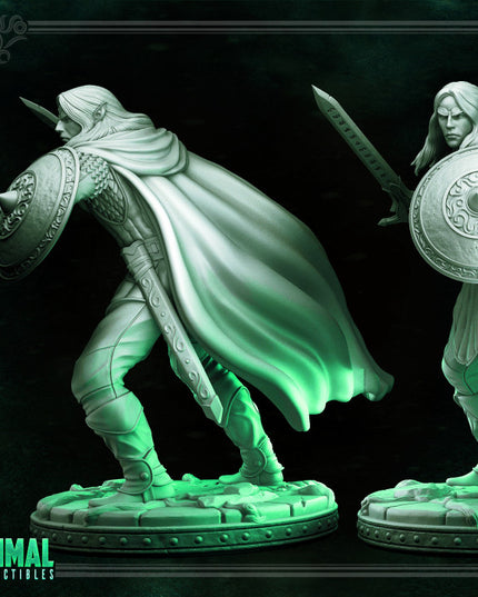 Elf - Athos - THE MIRROR MAZE - MASTERS OF DUNGEONS QUEST