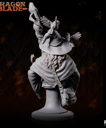 Wizard - Linus the marvelous- bust- July 2023 - DRAGONBLADE- MASTERS OF DUNGEONS QUEST