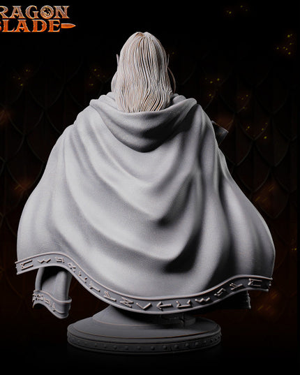 Dark Elf Wizard - Andiel - Bust - August 2023 - DRAGONBLADE- MASTERS OF DUNGEONS QUEST