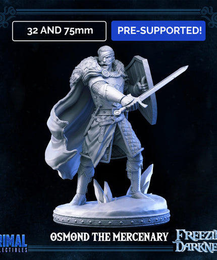 Mercenary - Man-at-arms - Osmond - FREEZING DARKNESS - MASTERS OF DUNGEONS QUEST