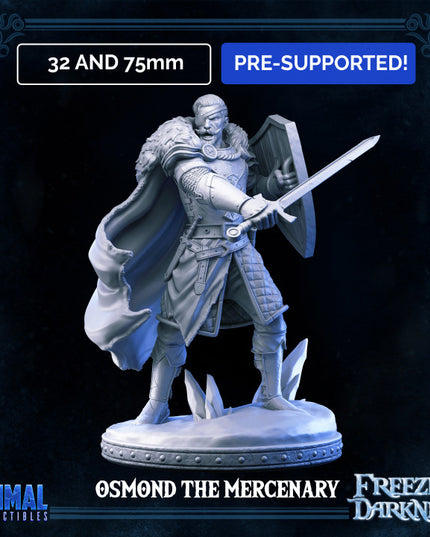 Mercenary - Man-at-arms - Osmond - FREEZING DARKNESS - MASTERS OF DUNGEONS QUEST