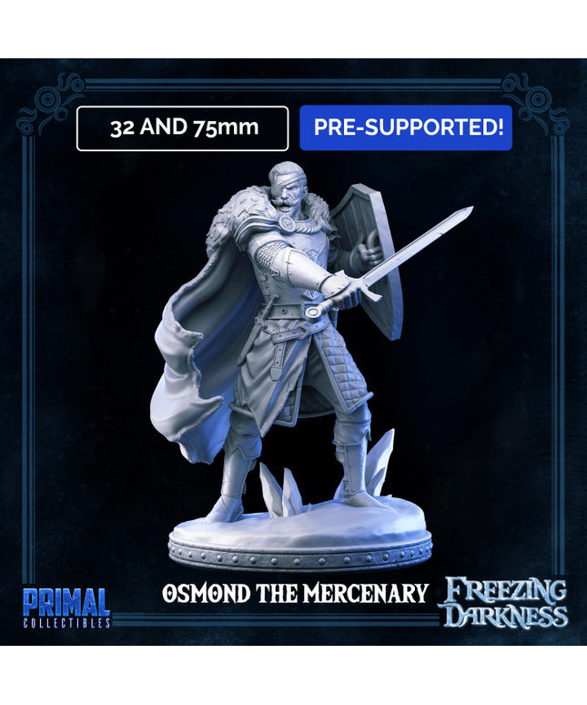 Mercenary - Man-at-arms - Osmond - FREEZING DARKNESS - MASTERS OF DUNGEONS QUEST