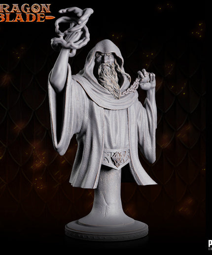 Dark Wizard - Gramros (the dark one) - bust - October 2023 - DRAGONBLADE- MASTERS OF DUNGEONS QUEST