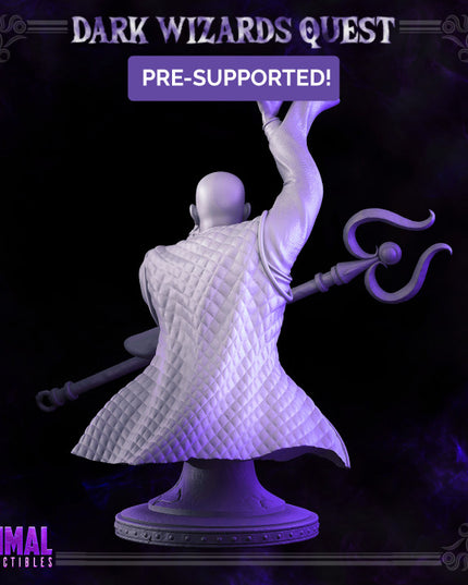 Storm Master - Rayzen Shaka - Bust - DARK WIZARDS - MASTERS OF DUNGEONS QUEST