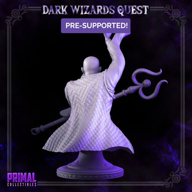Storm Master - Rayzen Shaka - Bust - DARK WIZARDS - MASTERS OF DUNGEONS QUEST