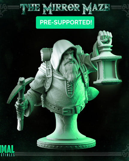 Prospector - Bust - THE MIRROR MAZE - MASTERS OF DUNGEONS QUEST