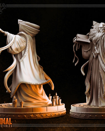 Wizard - ZAHIR THE GUIDE - April 2023 - RESCUE IN THE KING FORTRESS - MASTERS OF DUNGEONS QUEST