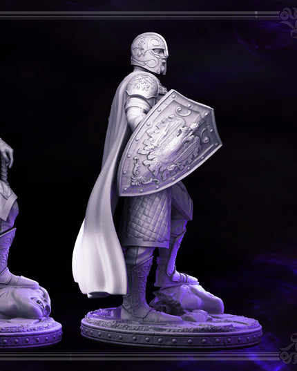 Knight - Demetrius - DARK WIZARDS - MASTERS OF DUNGEONS QUEST