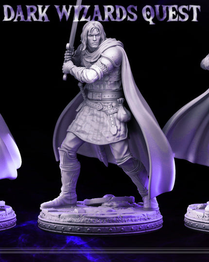 Swordsman/ Mercenary /Man- at- arms - Ducard - DARK WIZARDS - MASTERS OF DUNGEONS QUEST