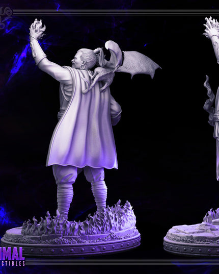 Fire Mage - Drago Zhurong - DARK WIZARDS - MASTERS OF DUNGEONS QUEST