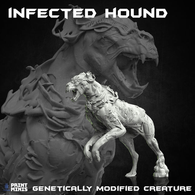 Infected Hounds - The Outbreak Collection