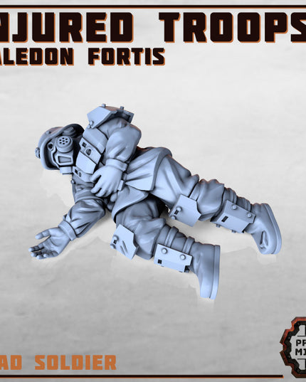 Injured Soldiers - Kaledon Fortis