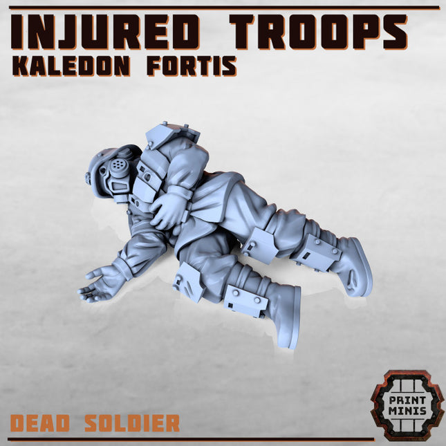 Injured Soldiers - Kaledon Fortis