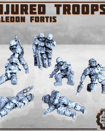 Injured Soldiers - Kaledon Fortis