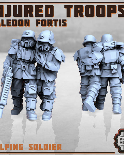 Injured Soldiers - Kaledon Fortis