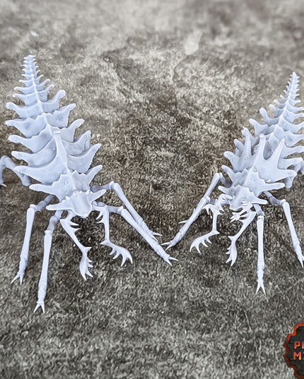 Erroish Beast Trainer and Sand Sprinters