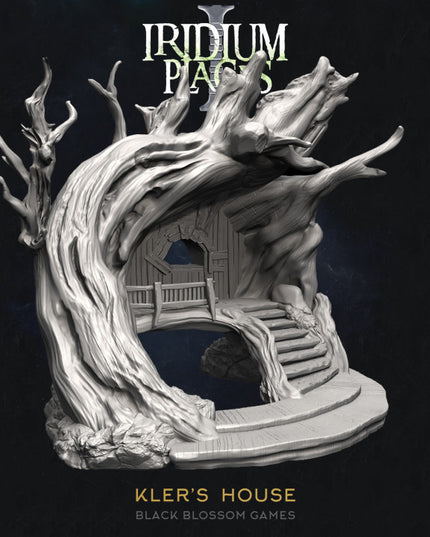 IDP01S10 Kler's House :: Iridium Places 1 :: Black Blossom Games