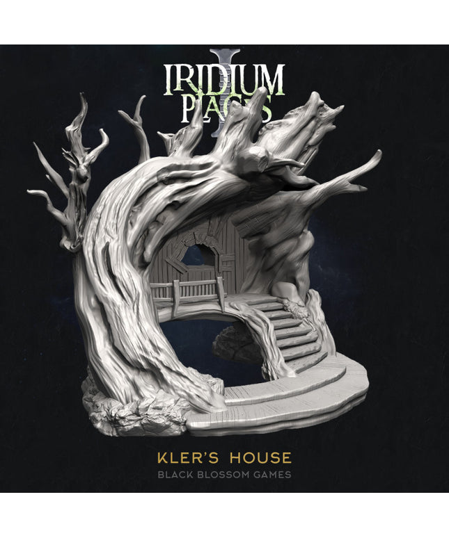 IDP01S10 Kler's House :: Iridium Places 1 :: Black Blossom Games
