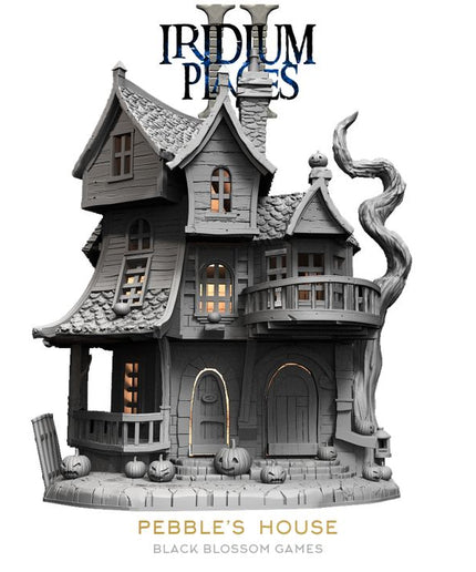 IDP02S06 Pebble's House :: Iridium Places 2 :: Black Blossom Games