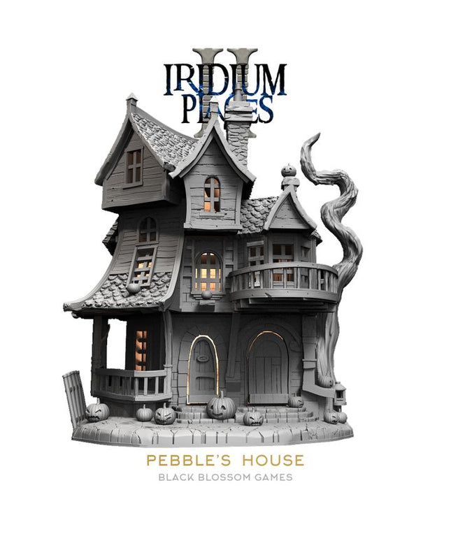 IDP02S06 Pebble's House :: Iridium Places 2 :: Black Blossom Games