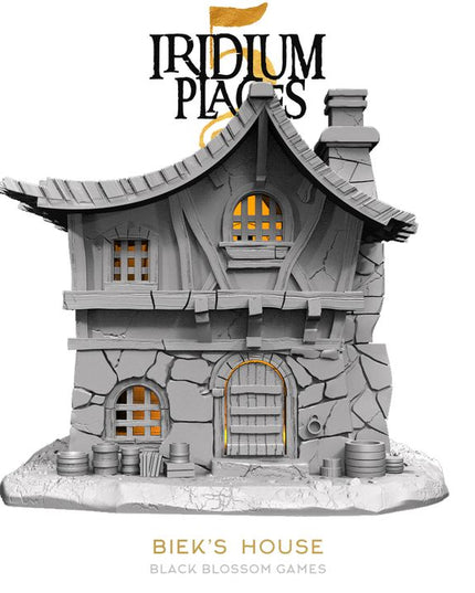 IDP05S03 Biek's Supportless House :: Iridium Places 5 :: Black Blossom Games