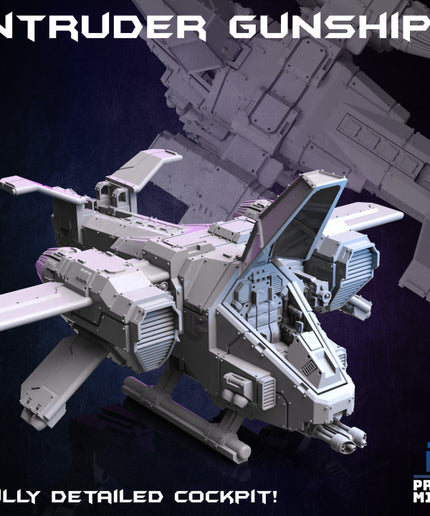 The Intruder Gunship