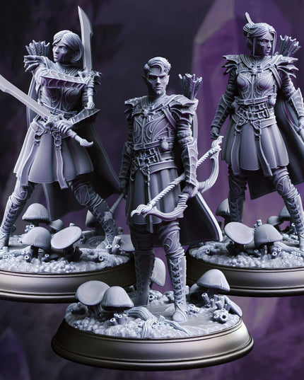 Drow Soldiers - Irinax's Chosen