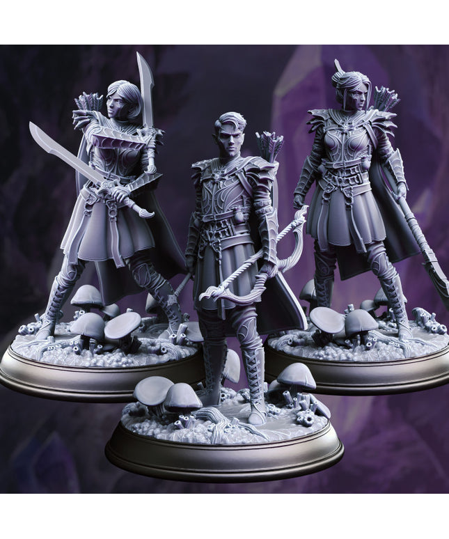 Drow Soldiers - Irinax's Chosen