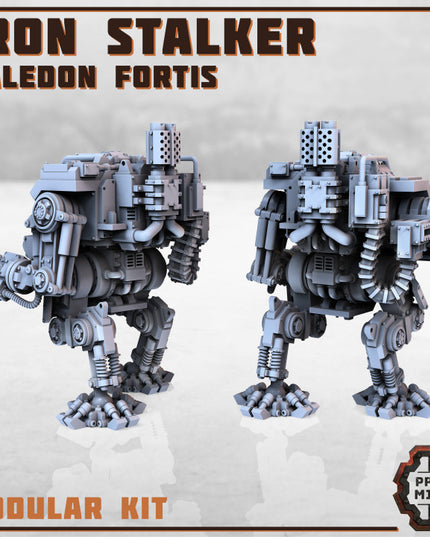 The Machines - January 2023 Collection