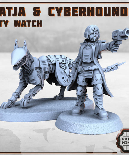 Enforcer Inspector & Cyberhound