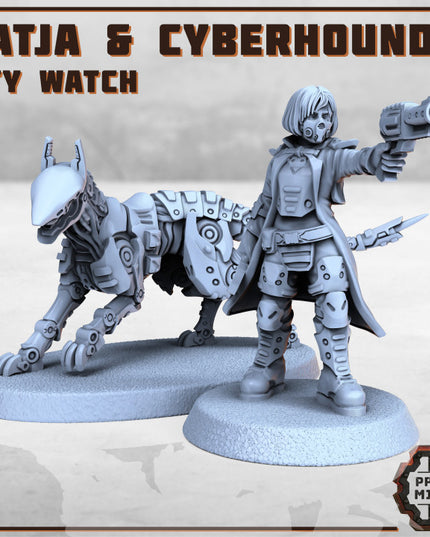 Enforcer Inspector & Cyberhound