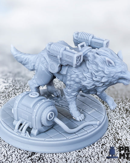 Koshka Wolf - Automata Collection