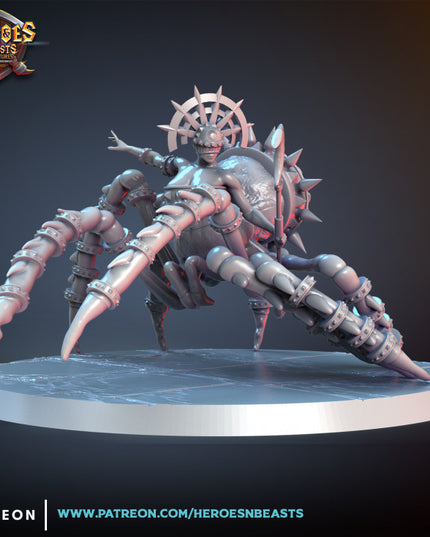 Madam aracno- Drider