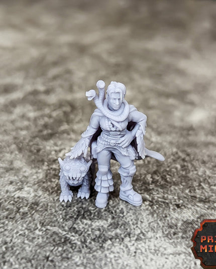 Denali - Beast Merchant