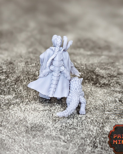 Denali - Beast Merchant