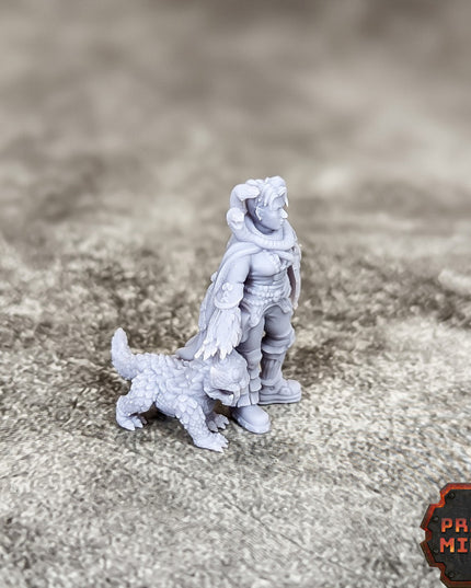 Denali - Beast Merchant