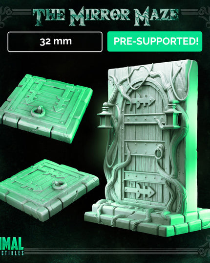 Trapdoor & Wooden door - THE MIRROR MAZE - MASTERS OF DUNGEONS QUEST