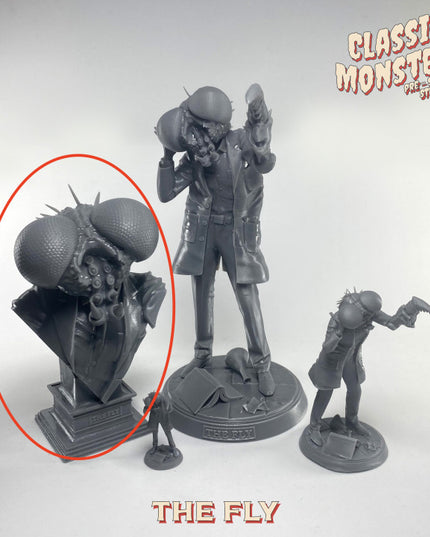 The Fly bust