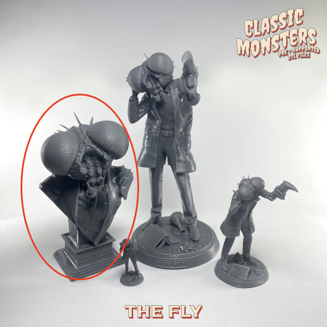The Fly bust