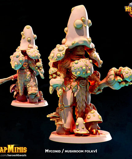 mushroom folk classic v1