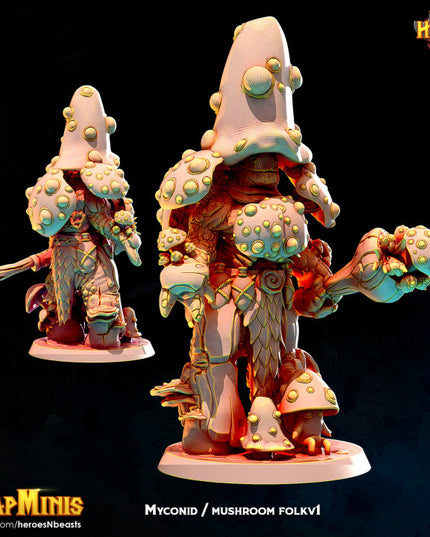 mushroom folk classic v1