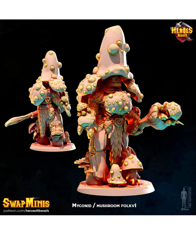 mushroom folk classic v1
