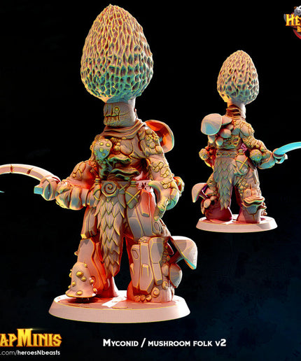 mushroom folk classic v2